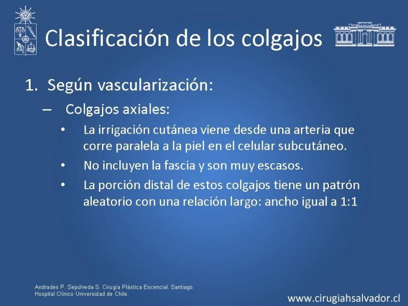 Diapositiva 8 de Colgajos