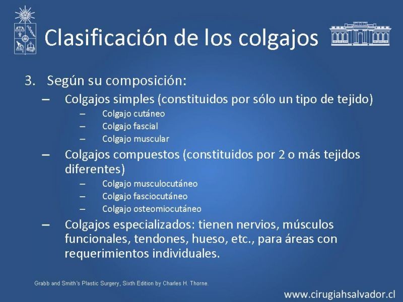 Diapositiva 18 de Colgajos