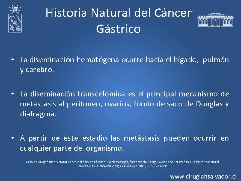 Diapositiva 11 de Cáncer Gástrico: Epidemiología y Diagnóstico