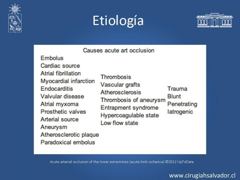 Diapositiva 2 de Isquemia aguda de extremidades