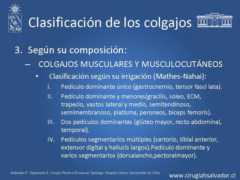Diapositiva 20 de Colgajos