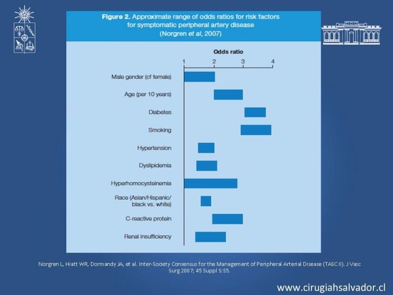Diapositiva 9 de Enfermedad Arterial Oclusiva Crónica (Epidemiología, Factores de Riesgo, Clínica)