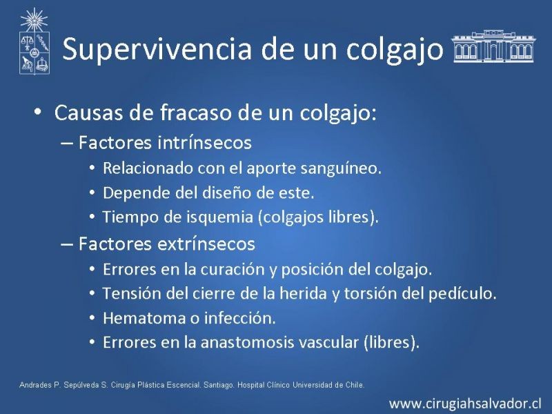 Diapositiva 24 de Colgajos