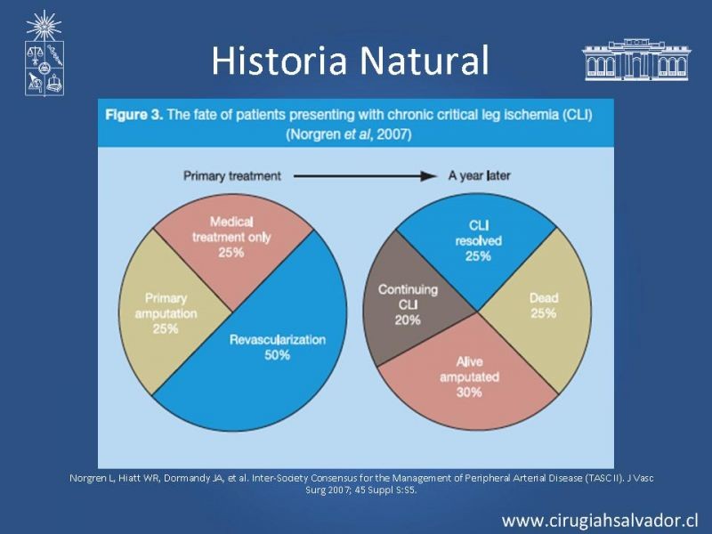 Diapositiva 17 de Enfermedad Arterial Oclusiva Crónica (Epidemiología, Factores de Riesgo, Clínica)