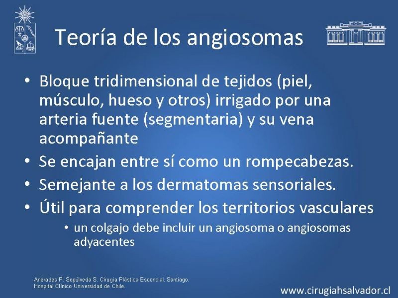 Diapositiva 4 de Colgajos