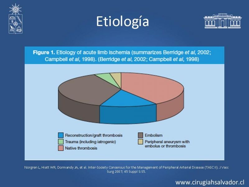 Diapositiva 3 de Isquemia aguda de extremidades