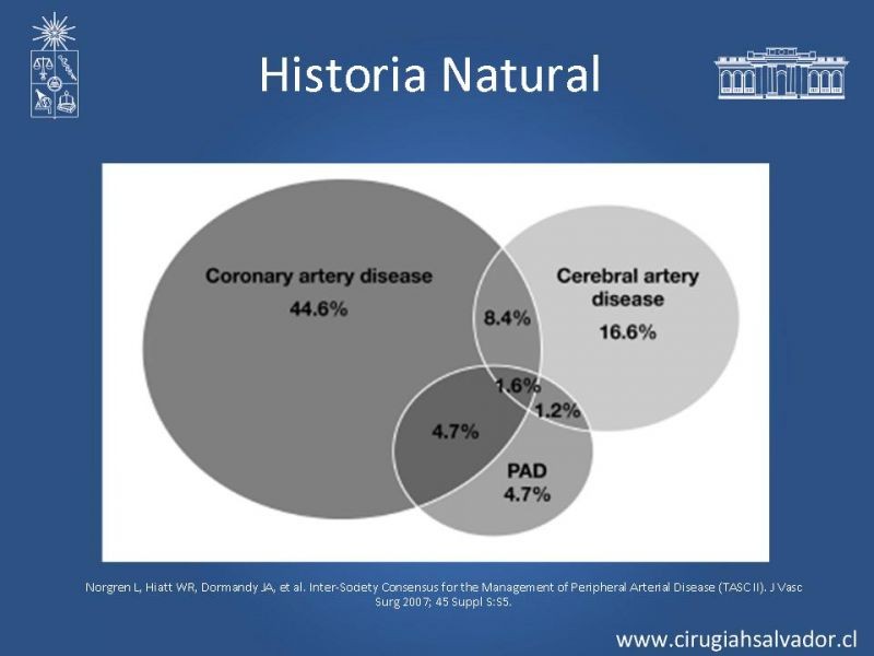 Diapositiva 20 de Enfermedad Arterial Oclusiva Crónica (Epidemiología, Factores de Riesgo, Clínica)