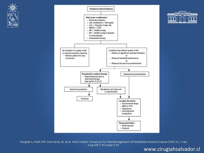 Diapositiva 34 de Enfermedad Arterial Oclusiva Crónica (Tratamiento)