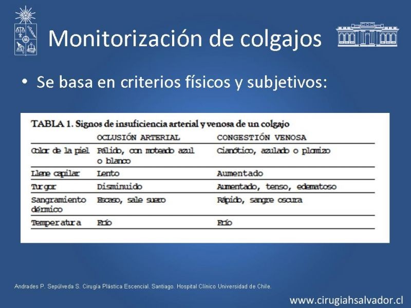 Diapositiva 28 de Colgajos