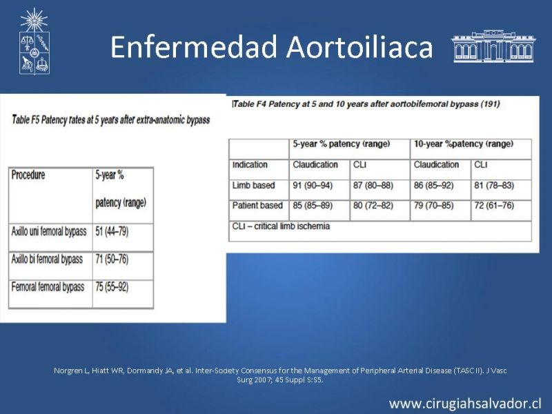 Diapositiva 24 de Enfermedad Arterial Oclusiva Crónica (Tratamiento)