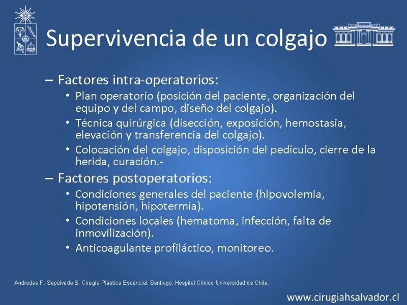 Diapositiva 26 de Colgajos