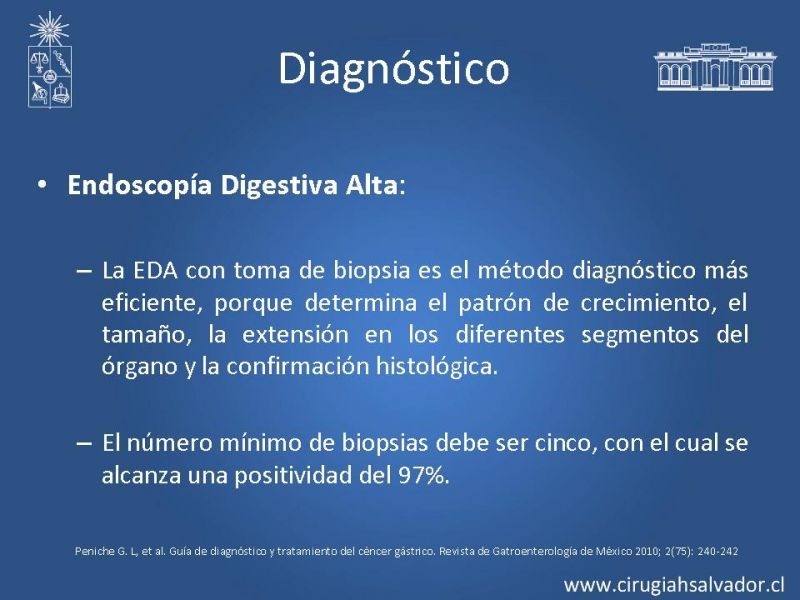 Diapositiva 15 de Cáncer Gástrico: Epidemiología y Diagnóstico