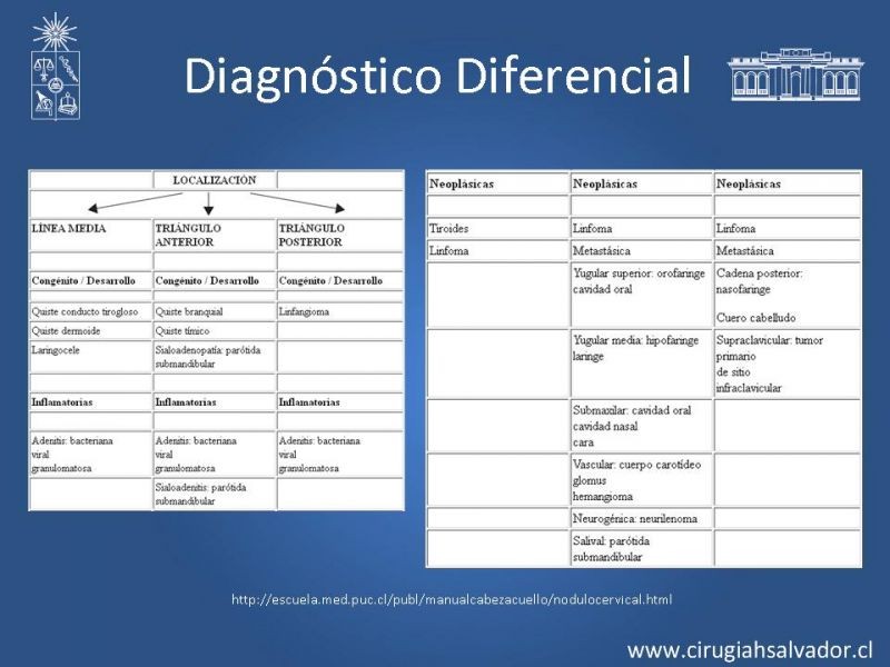 Diapositiva 14 de Adenopatía Cervical. Estudio y Manejo