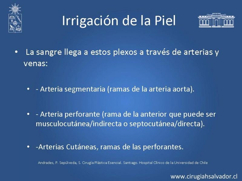 Diapositiva 4 de Colgajos: Generalidades