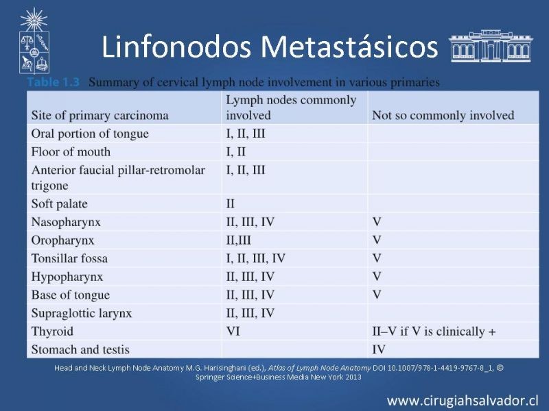 Diapositiva 9 de Adenopatía Cervical. Estudio y Manejo