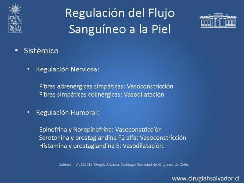 Diapositiva 9 de Colgajos: Generalidades