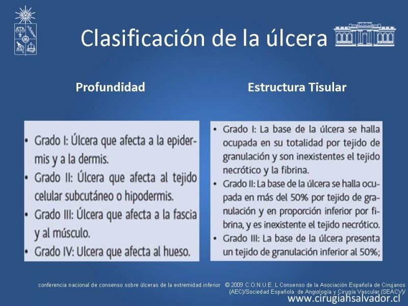 Diapositiva 5 de Manejo Ulceras EEII