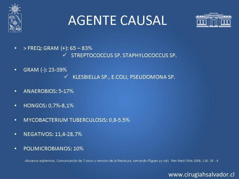 Diapositiva 5 de Abscesos esplénicos