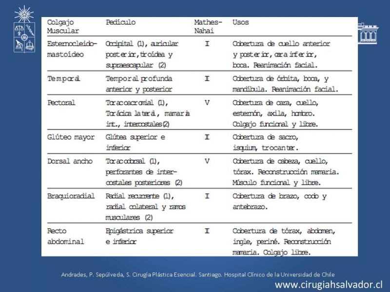 Diapositiva 46 de Colgajos: Generalidades