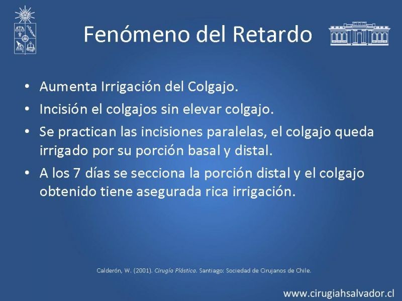 Diapositiva 52 de Colgajos: Generalidades
