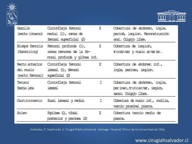 Diapositiva 47 de Colgajos: Generalidades