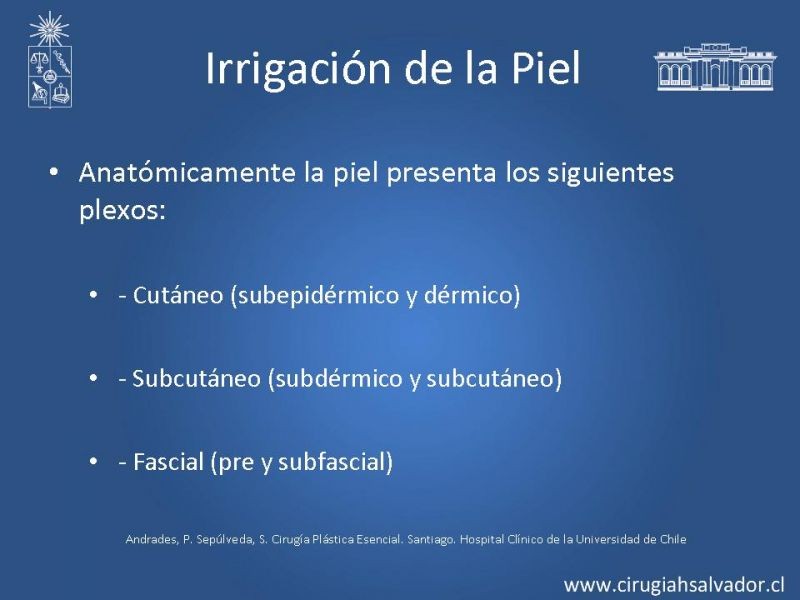 Diapositiva 3 de Colgajos: Generalidades