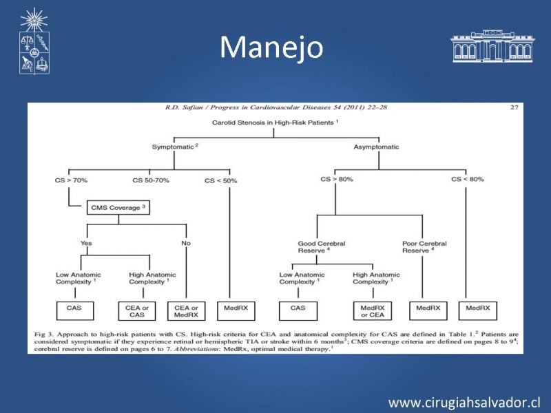 Diapositiva 14 de Estenosis Carotídea Sintomática