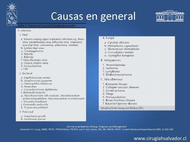 Diapositiva 8 de Adenopatía Cervical. Estudio y Manejo