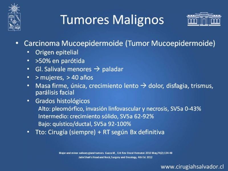Diapositiva 16 de Tumores de Glándulas Salivales