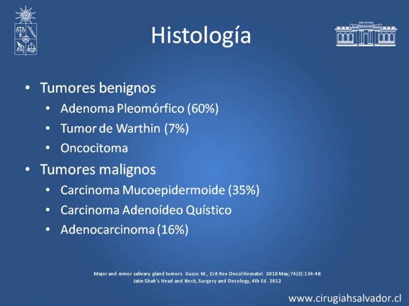 Diapositiva 8 de Tumores de Glándulas Salivales