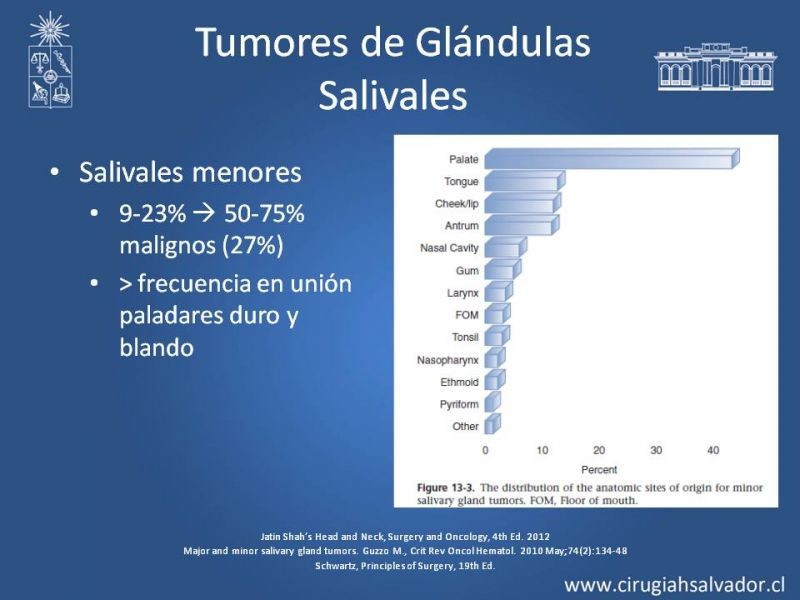 Diapositiva 6 de Tumores de Glándulas Salivales