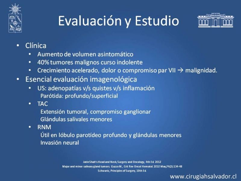 Diapositiva 11 de Tumores de Glándulas Salivales