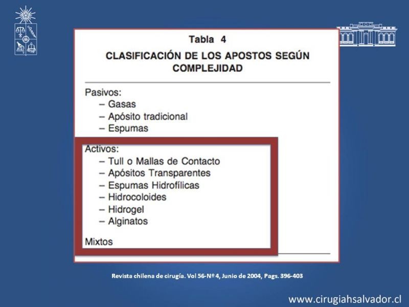 Diapositiva 13 de Curación avanzada de heridas