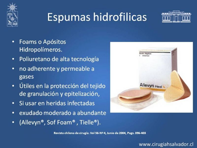 Diapositiva 16 de Curación avanzada de heridas