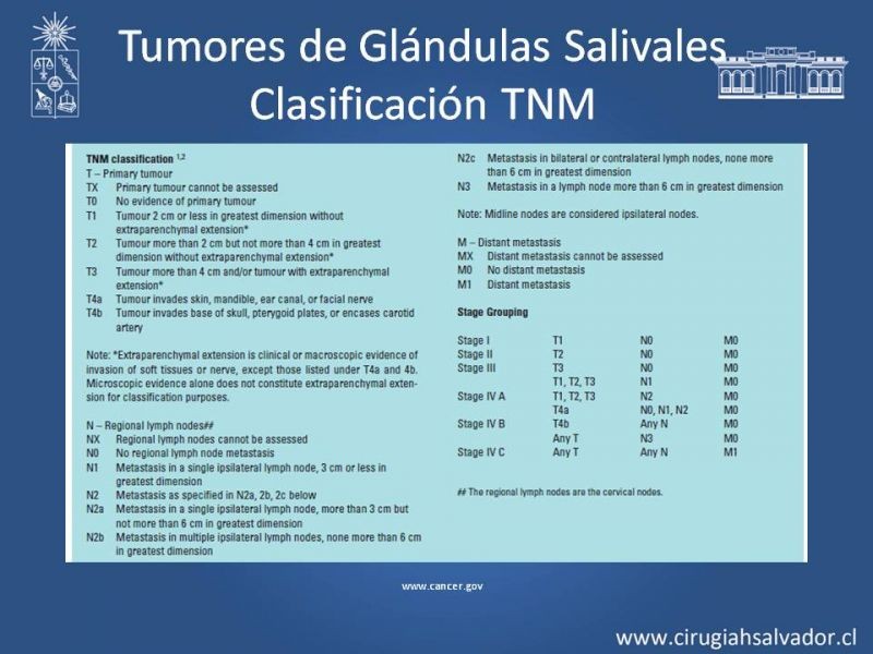 Diapositiva 10 de Tumores de Glándulas Salivales