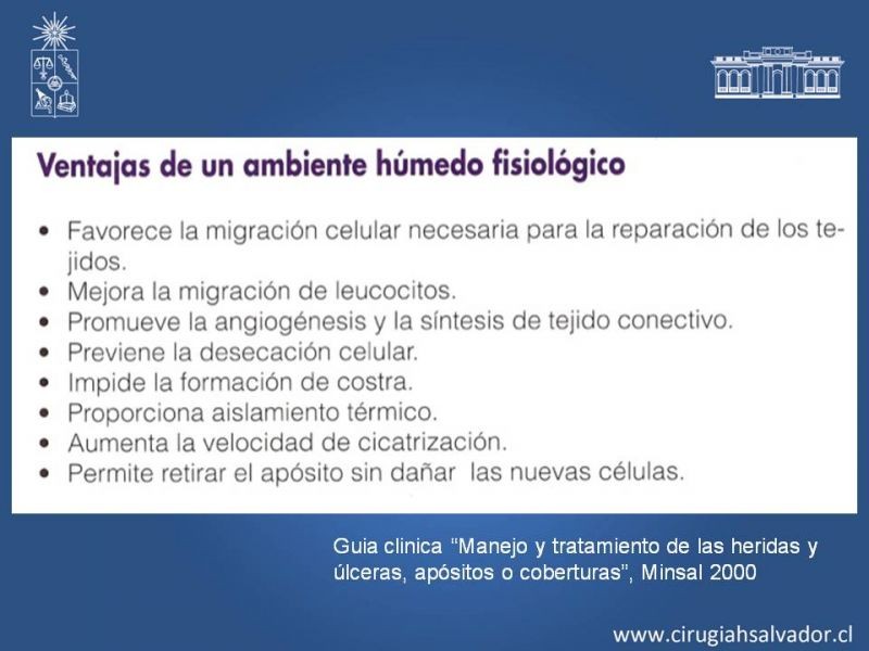 Diapositiva 12 de Curación avanzada de heridas