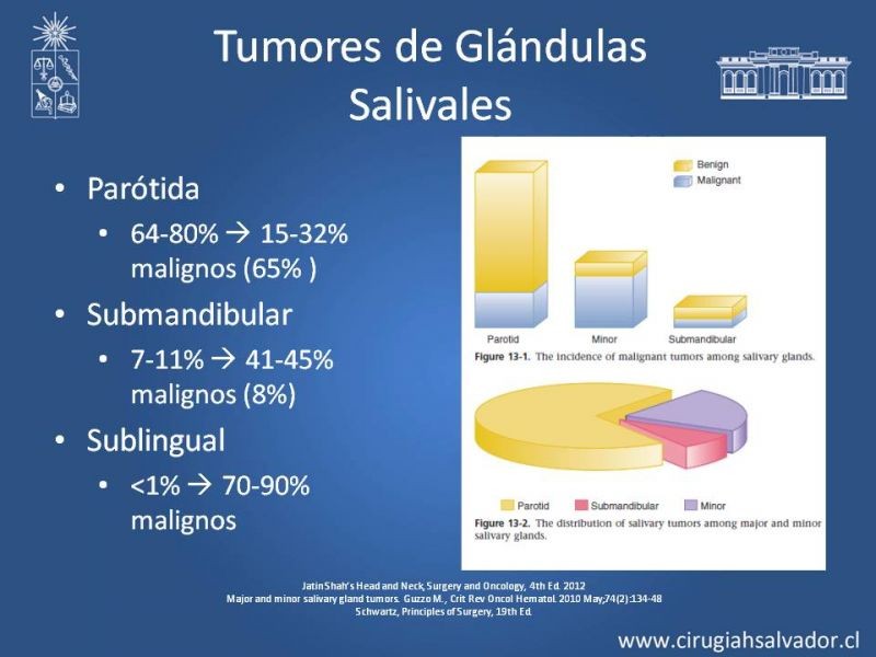 Diapositiva 5 de Tumores de Glándulas Salivales