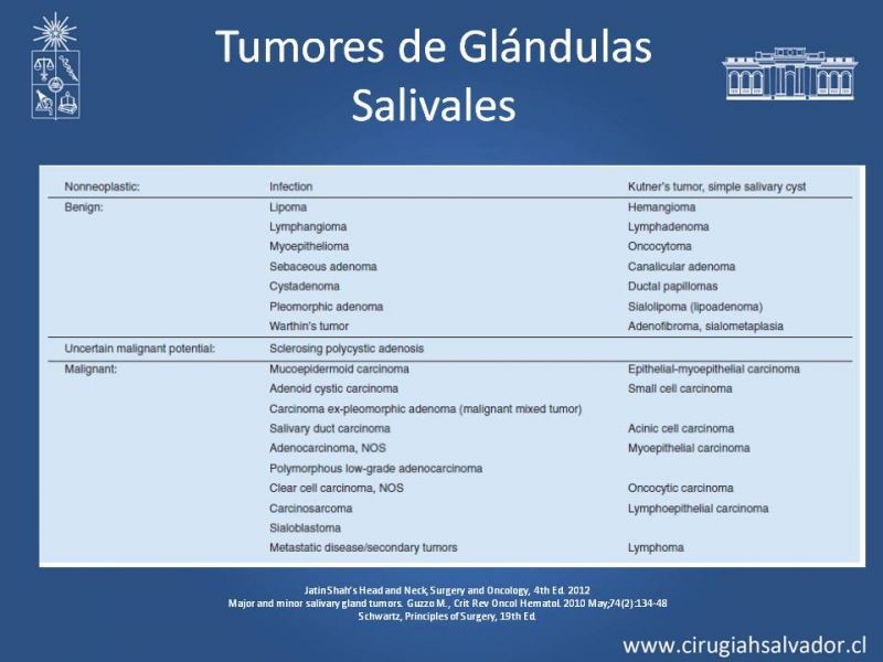 Diapositiva 9 de Tumores de Glándulas Salivales