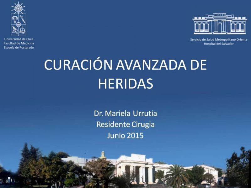 Diapositiva 26 de Curación avanzada de heridas