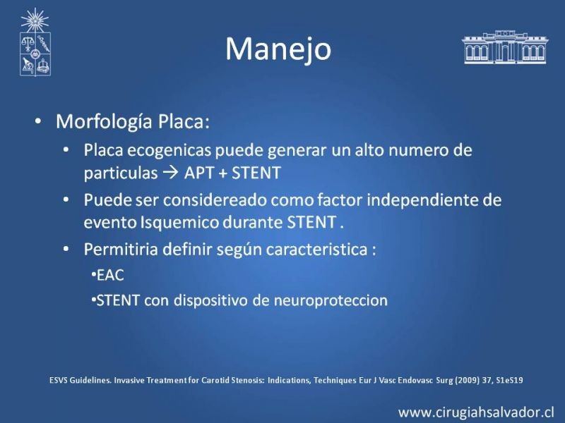 Diapositiva 19 de Estenosis Carotidea