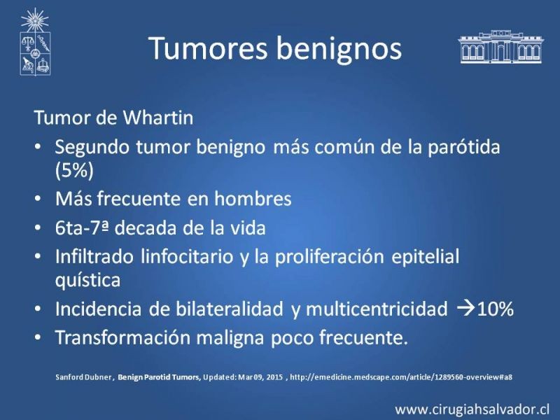 Diapositiva 11 de Tumores de parótida