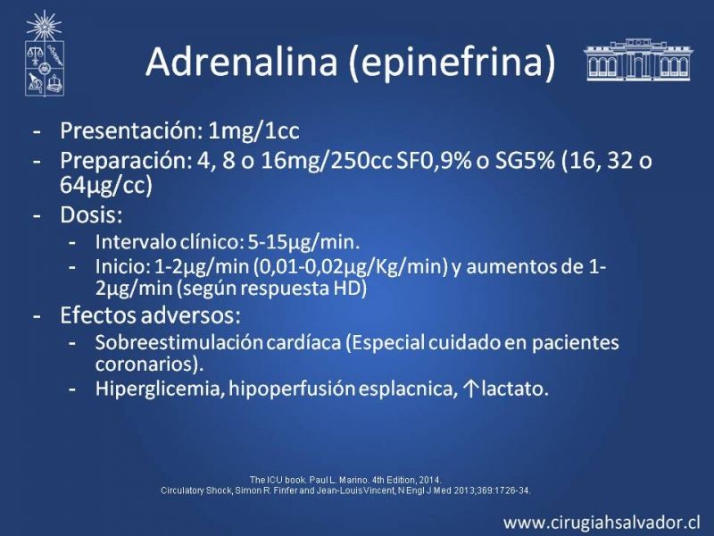 Diapositiva 6 de Drogas Vasoactivas: (DVA)