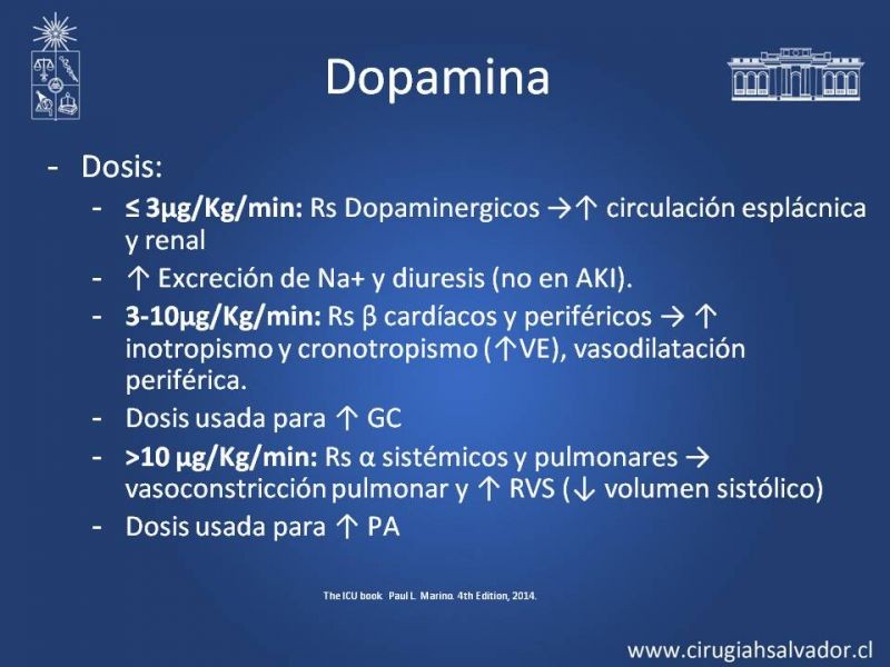 Diapositiva 9 de Drogas Vasoactivas: (DVA)