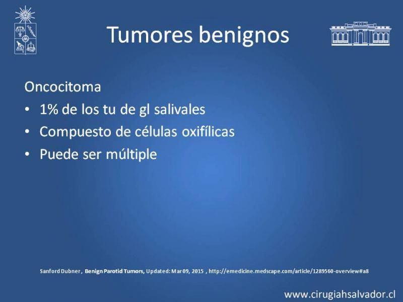 Diapositiva 12 de Tumores de parótida