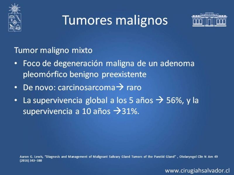 Diapositiva 15 de Tumores de parótida