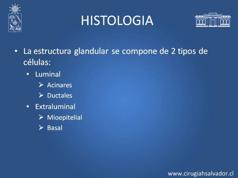 Diapositiva 5 de Tumores de parótida