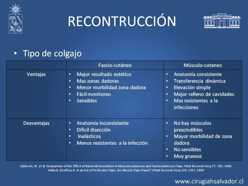 Diapositiva 16 de Cobertura miembro inferior