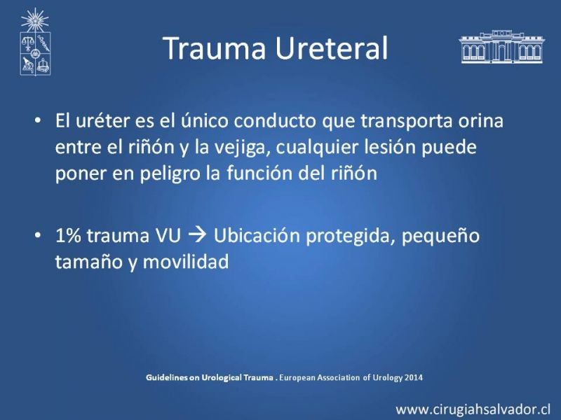 Diapositiva 23 de Lesiones de vía urinaria