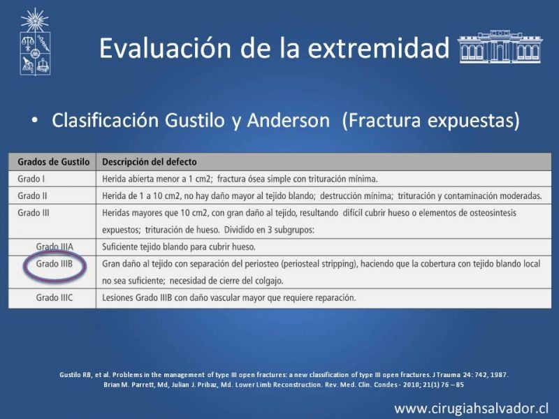Diapositiva 6 de Cobertura miembro inferior