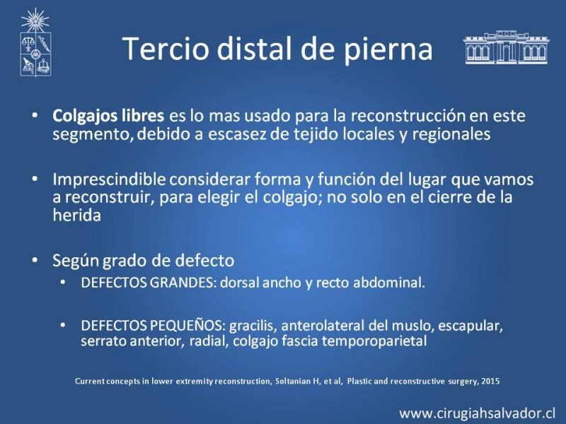 Diapositiva 38 de Cobertura miembro inferior